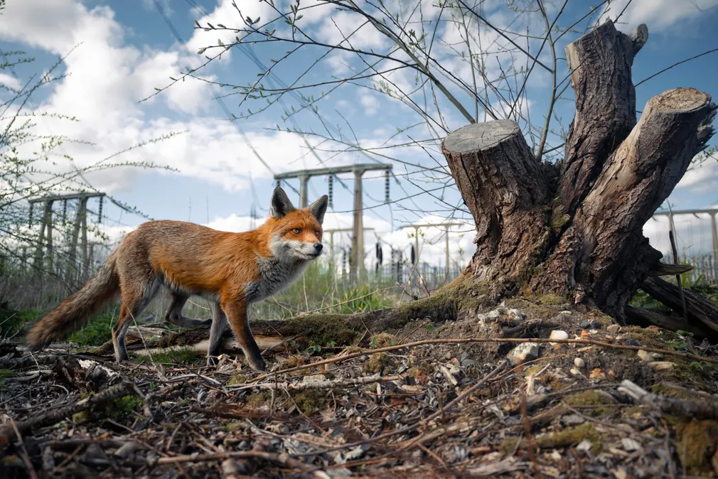 10 fotografías imperdibles de la naturaleza