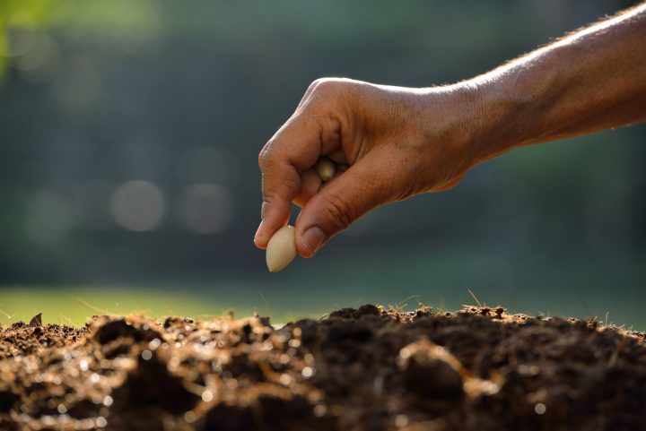 ¿Por qué es tan importante la gastronomía sostenible?