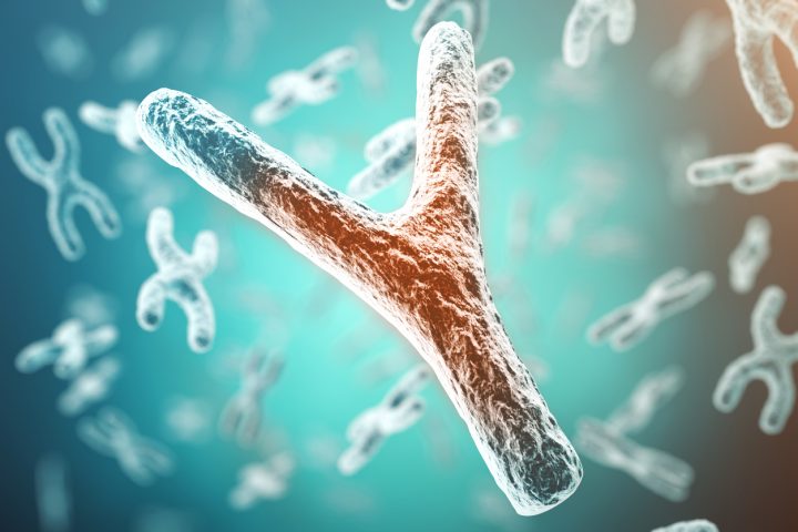 ¿Qué implica completar la secuencia del cromosoma Y?