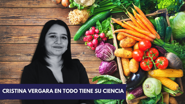 Alimentos del futuro y envejecimiento saludable