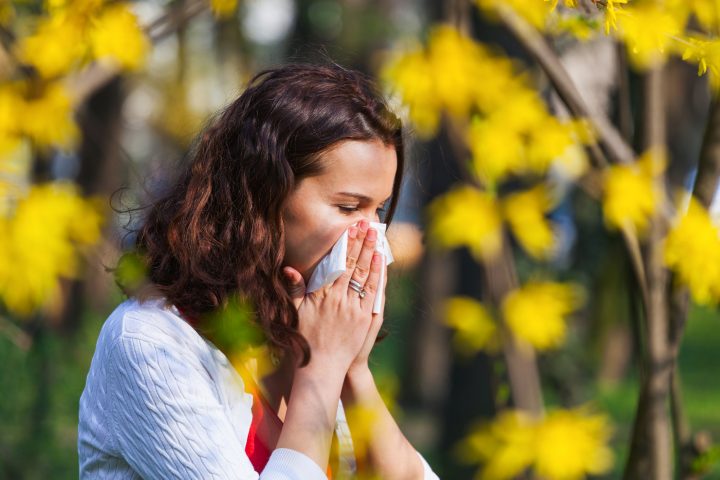 ¿Cómo enfrentar el impacto de las alergias estacionales?