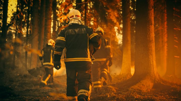 Estudio alerta por la salud de Bomberos en Punta Arenas