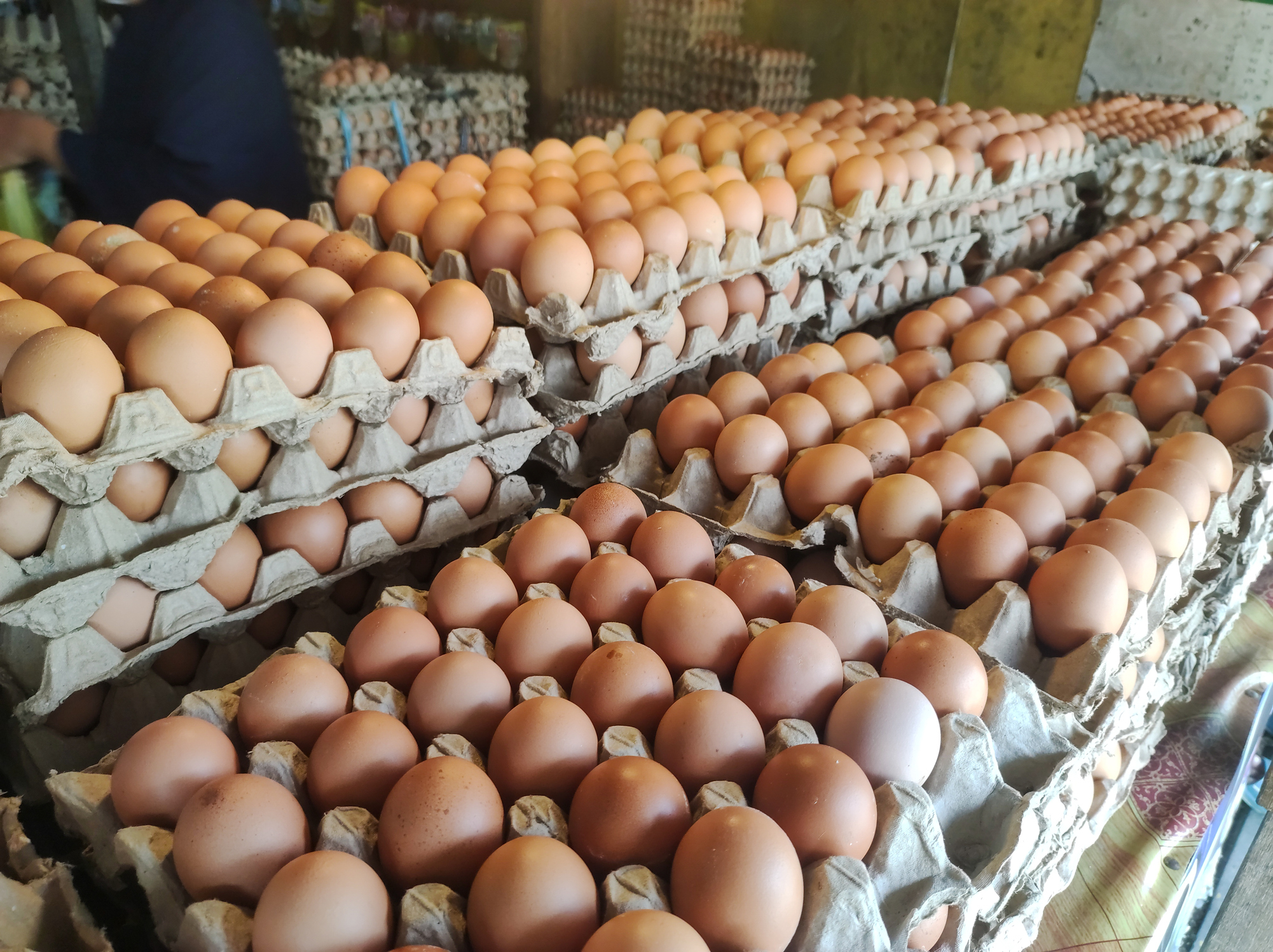 Los beneficios de consumir huevo: nutritivo, barato y seguro