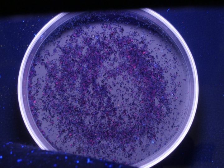 Estudio chileno indaga en los microplásticos de los ríos