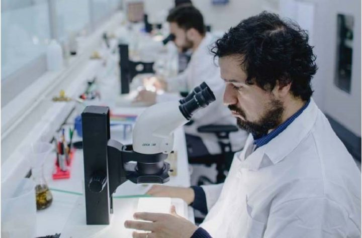 Biotecnólogos chilenos estudian el Alzheimer con moscas