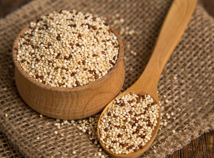 Usach desarrolla concentrado de quinoa como aporte de proteína