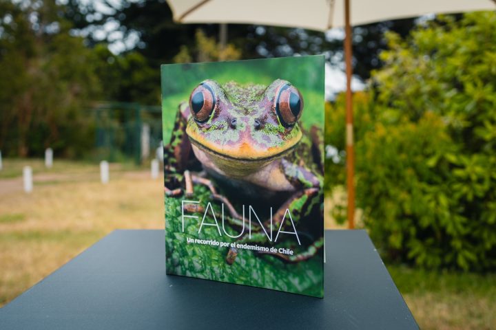 Nuevo libro detalla la belleza de la fauna endémica de Chile