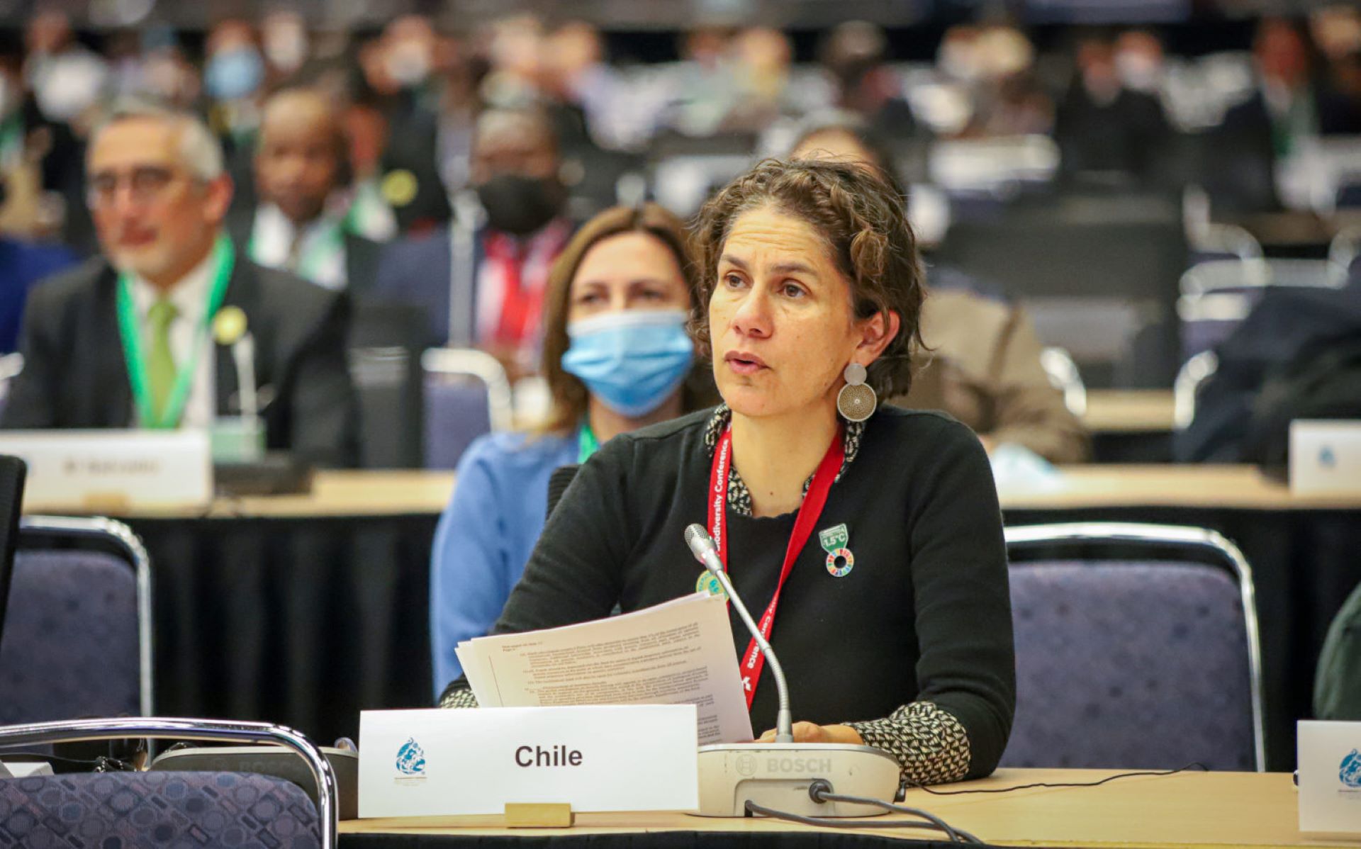 COP28: Chile se prepara para participar este martes
