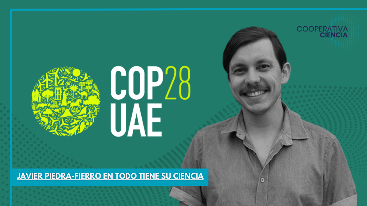 COP28 y los desafíos para una energía sostenible