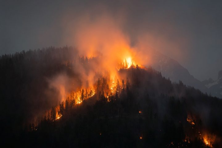 Incendios forestales: ¿Qué ha generado su propagación?