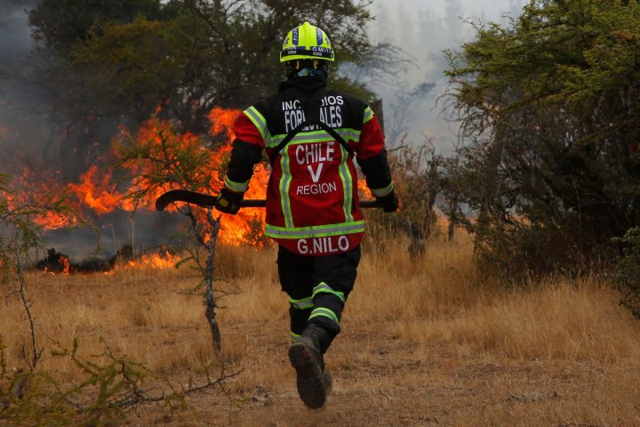 Cell2Fire de la U.Chile: Uso de data para prevenir incendios