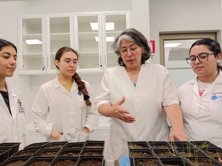 “Virtuosas”: La academia STEM para niñas que impartirá la UCM