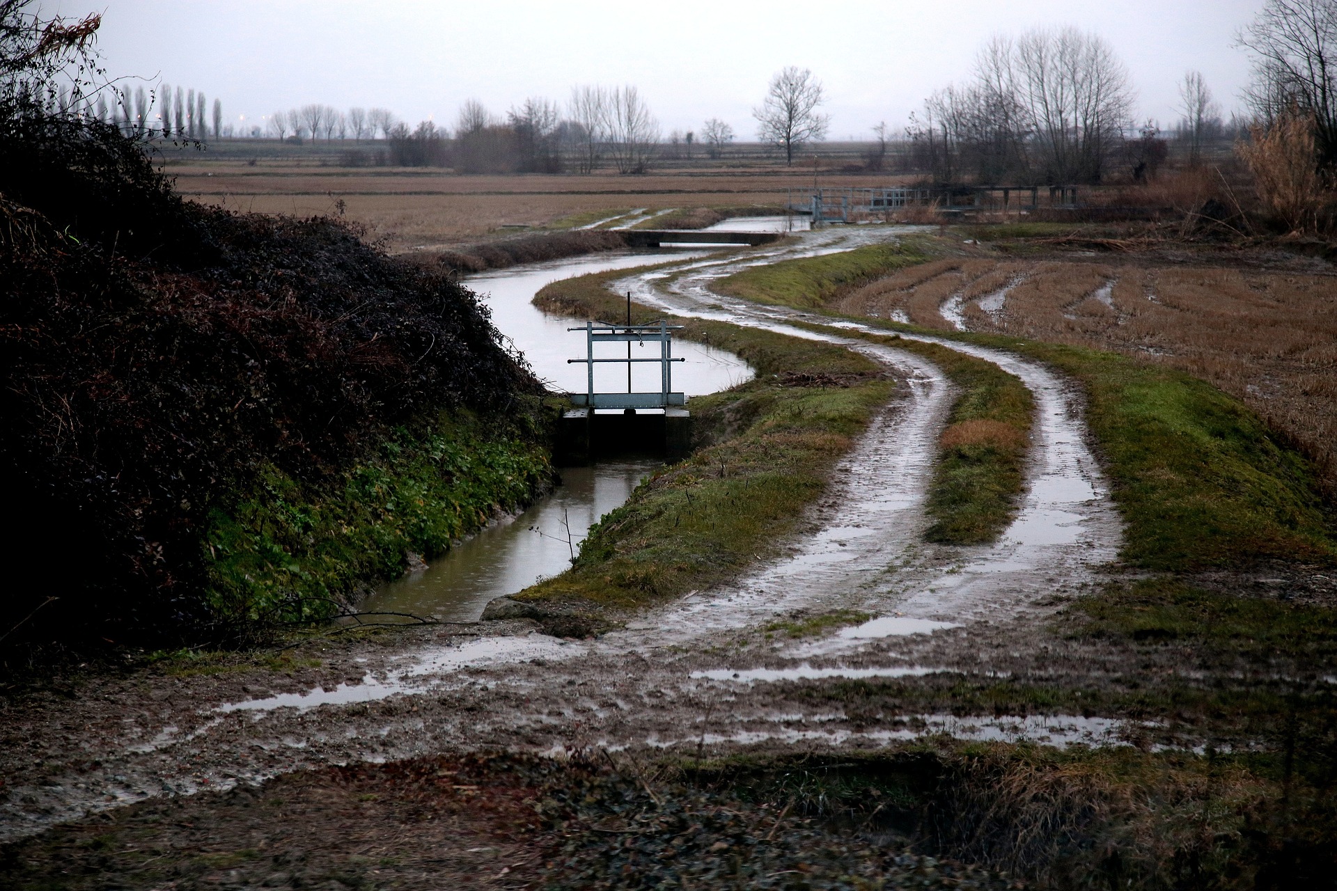 Alertan por efectos de La Niña en la agricultura del país