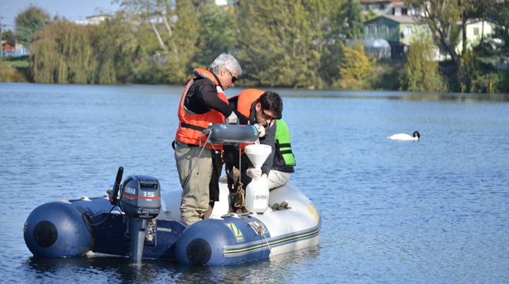 Experto entrega recomendaciones ante toxicidad de Laguna Lo Méndez