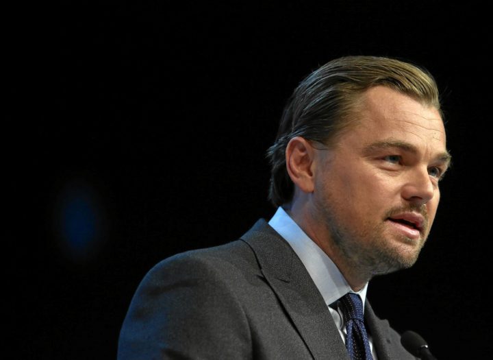 Leonardo DiCaprio visibilizó amenazas del huemul chileno