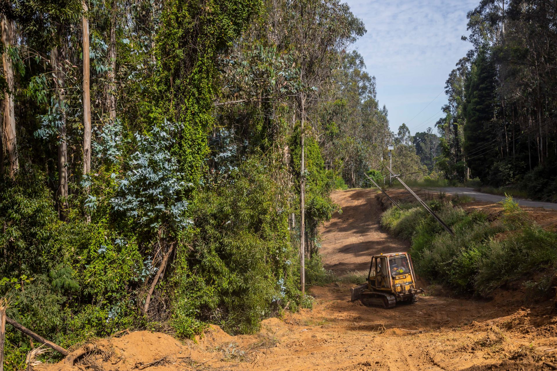 U. de Concepción ejecuta planes de prevención contra incendios