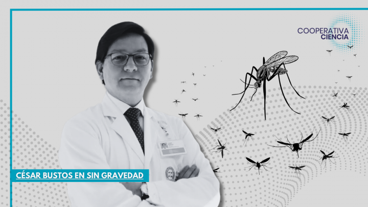 ¿Cómo actuar ante la transmisión del dengue?