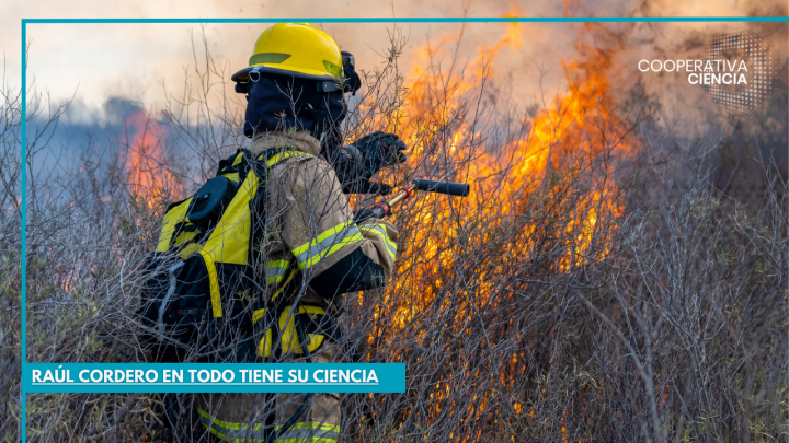 Los factores que propician grandes incendios en el país