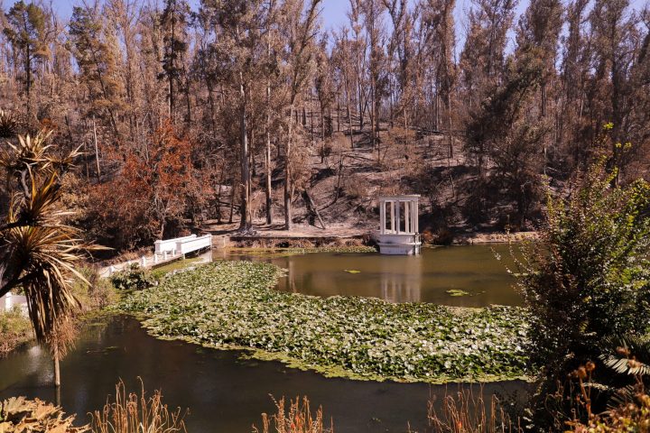 Destinan $500 millones para recuperar el Jardín Botánico