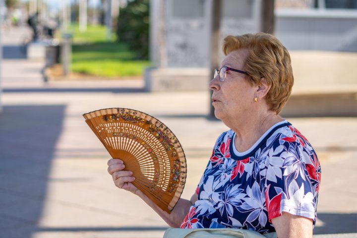 Emiten alerta por temperaturas entre el Maule a Los Ríos