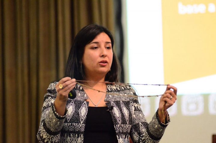 Anahí Huencho: La investigadora en matemática del pueblo mapuche