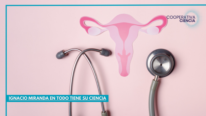 ¿Cómo identificar una posible endometriosis?