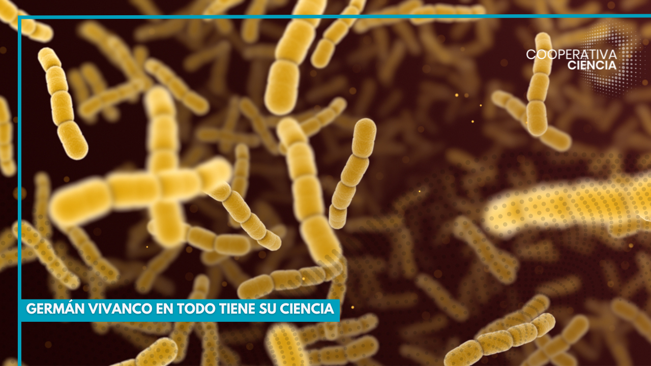 Variante de estreptococo: infección que preocupa en Japón