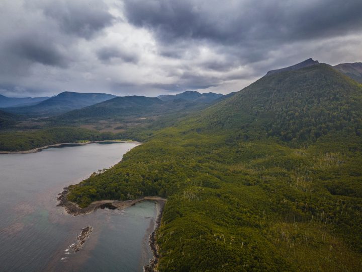 Inician proceso para crear el Parque Nacional Cabo Froward