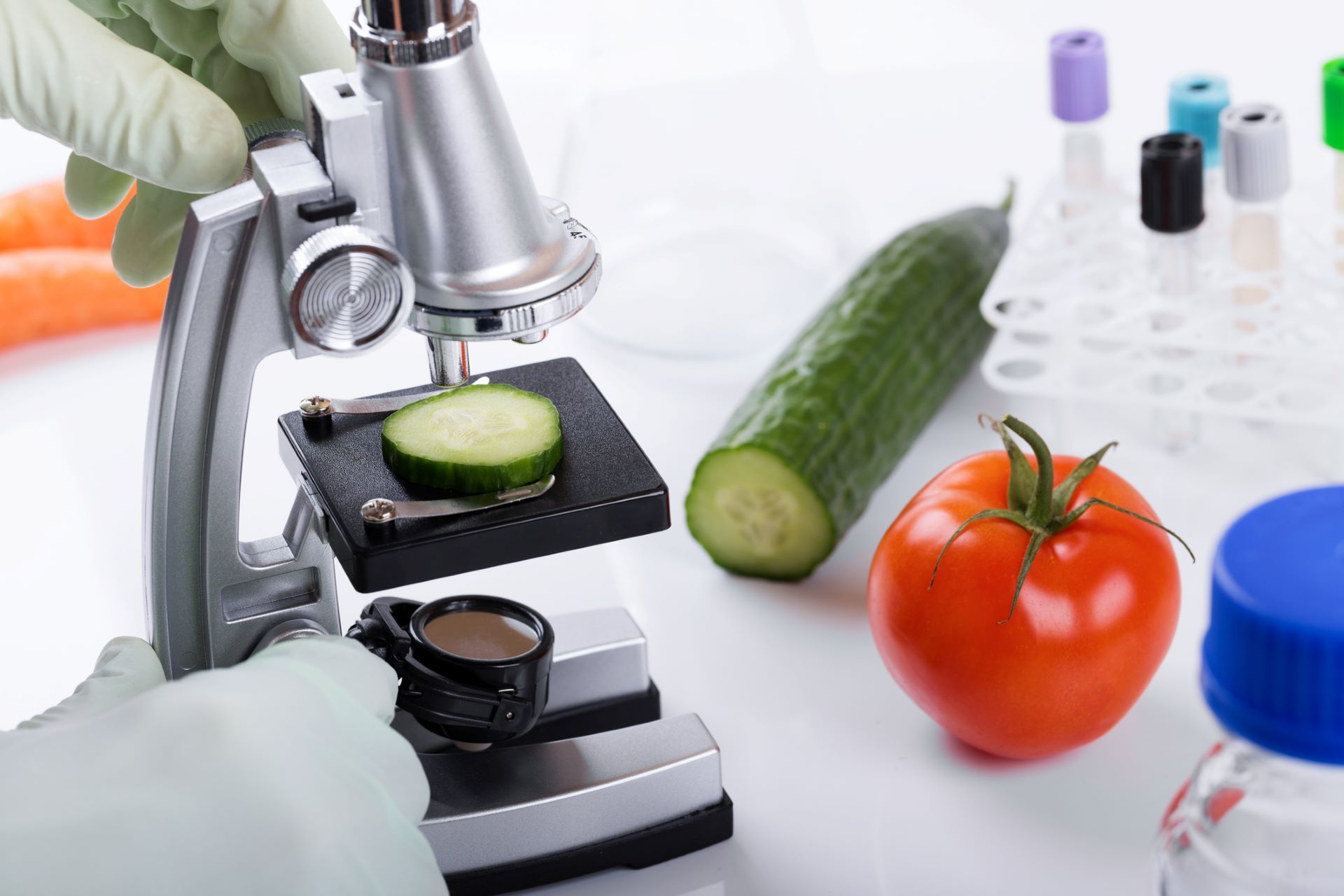 Investigadores enseñan ciencia a través de la cocina