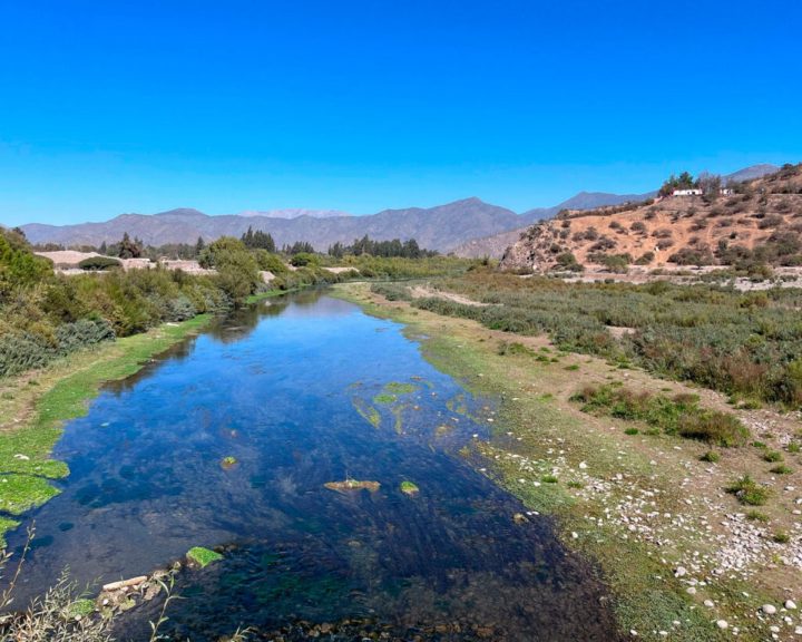 Lanzan nuevo sitio web sobre la biodiversidad en la RM