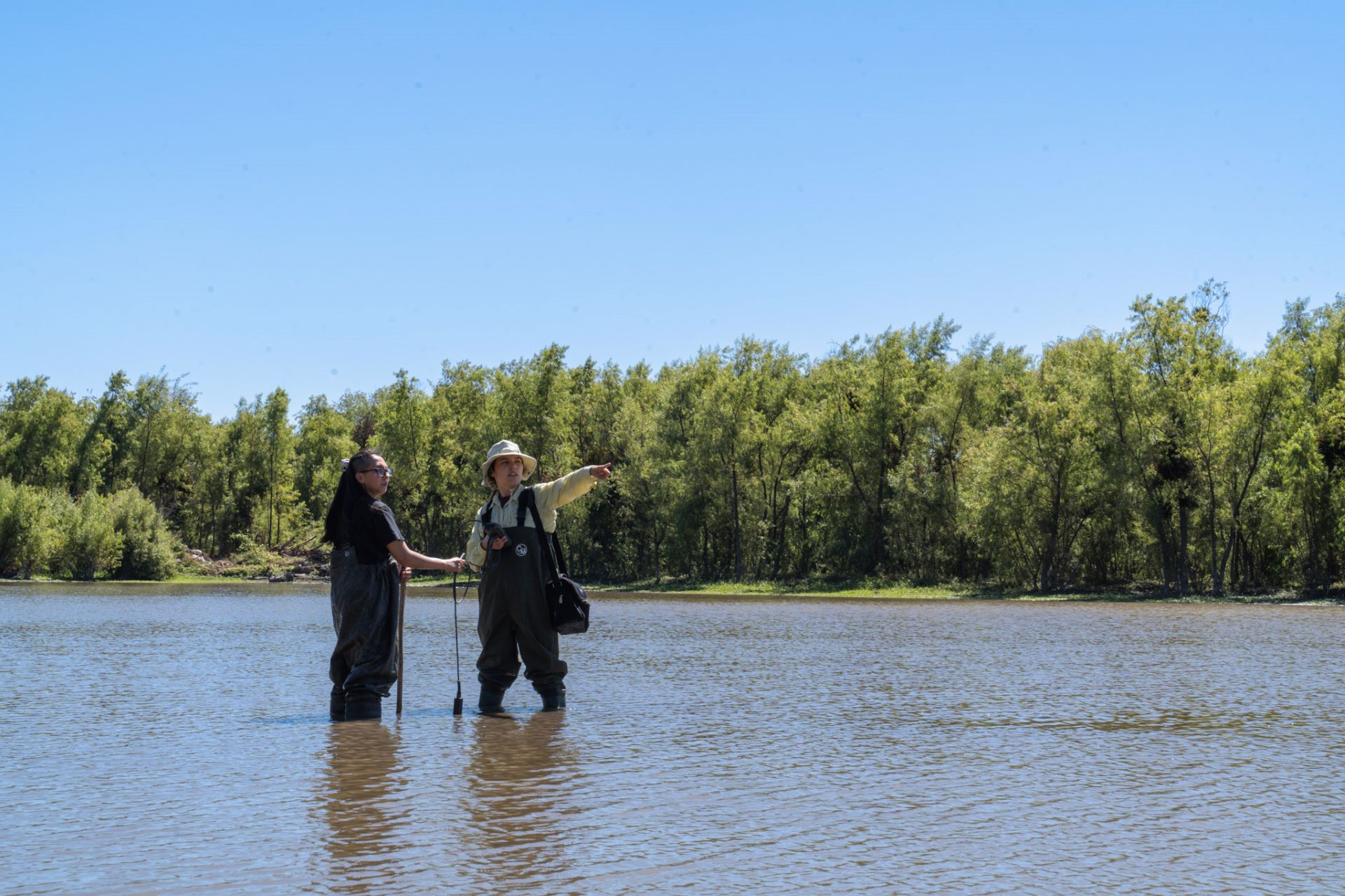 Científicas buscan mitigar el cambio climático en humedales