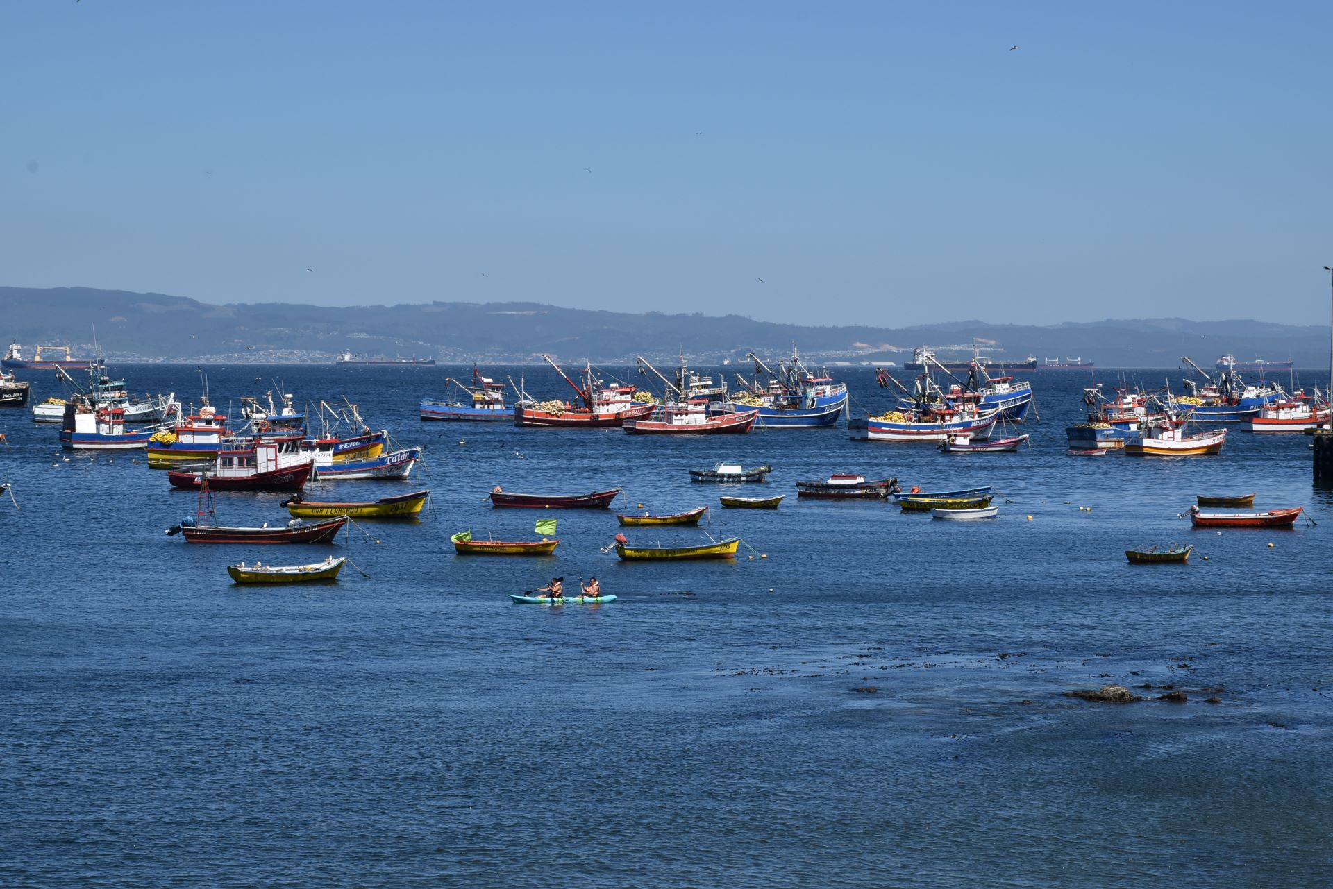La salud del océano en Chile está bajo el promedio mundial