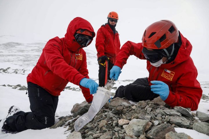 Chile será anfitrión del mayor encuentro mundial de ciencia antártica