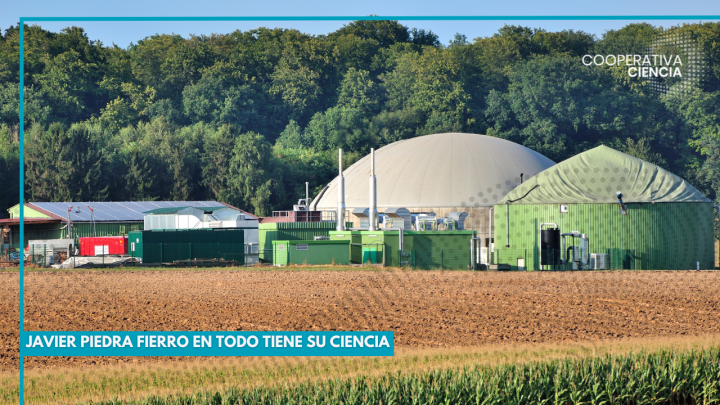 ¿Qué son los biodigestores?