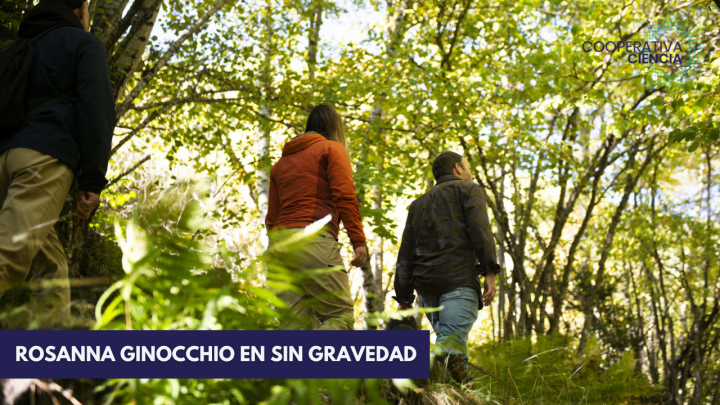 Baños de bosque: Una terapia efectiva contra el estrés