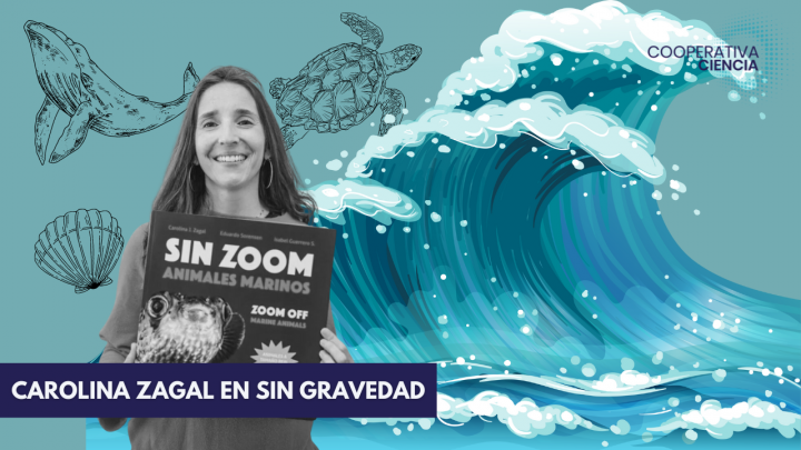 ONG chilena Oceanósfera es nominada en los Ocean Awards 2024