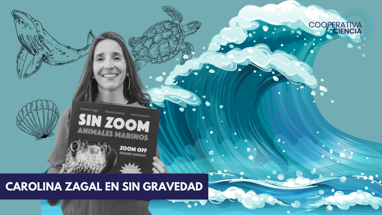 ONG chilena Oceanósfera es nominada en los Ocean Awards 2024
