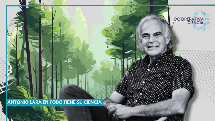 Antonio Lara: defensor del bosque nativo