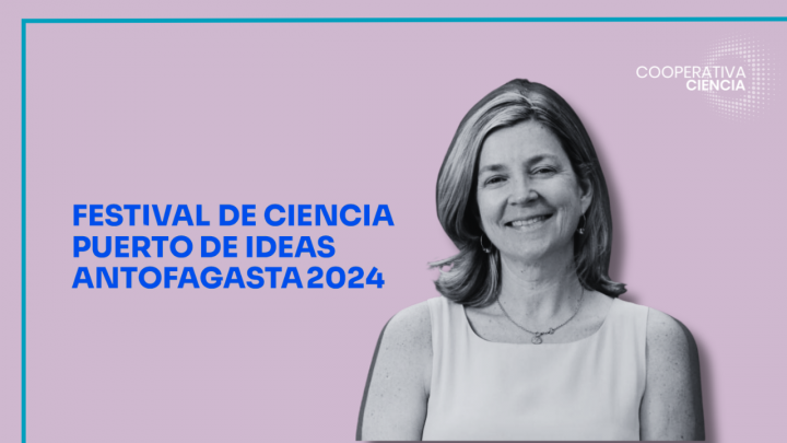 Más de 16 mil persona asistieron al Festival Puerto Ideas 2024