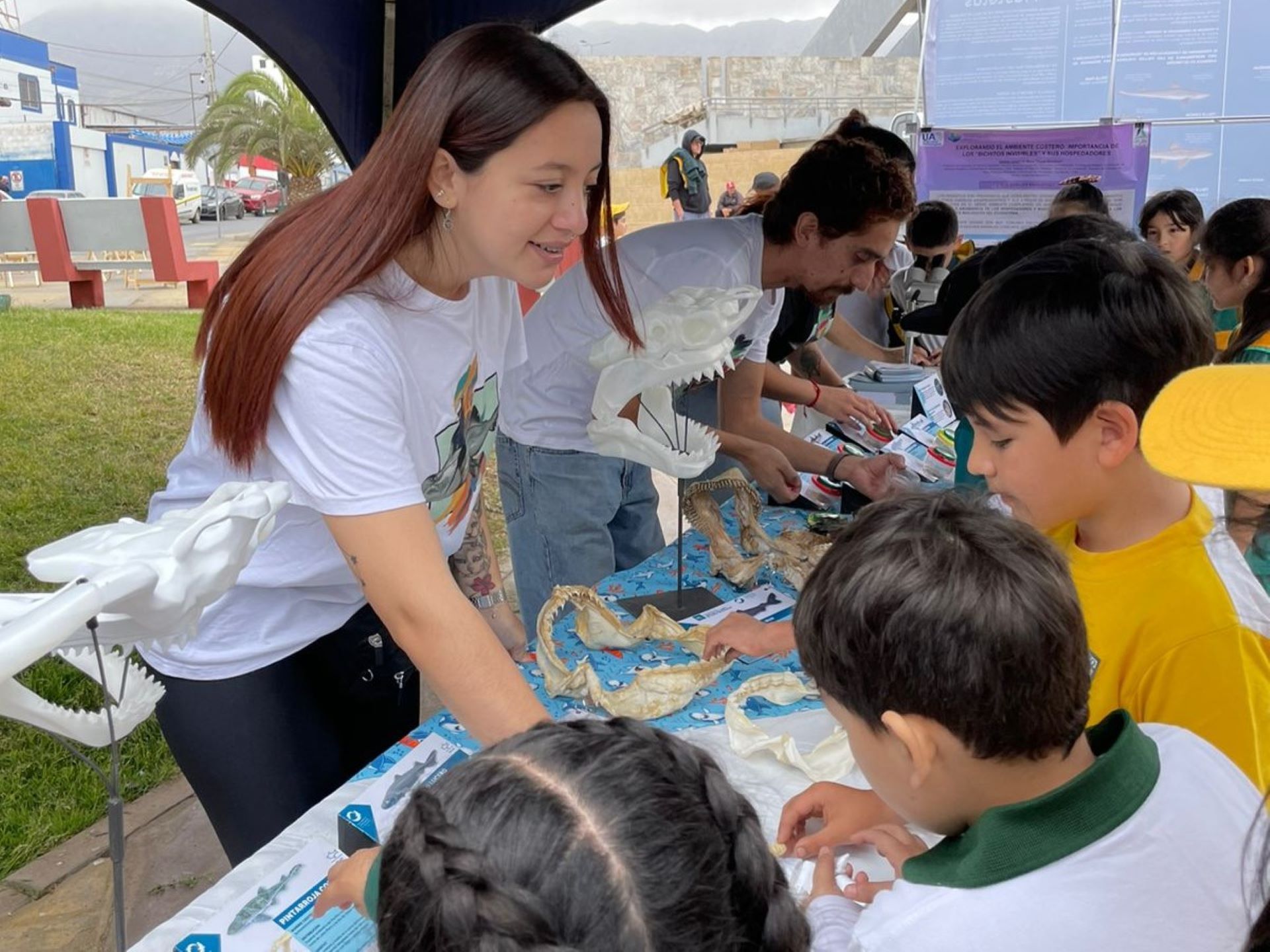 Programa de Conservación de Tiburones llegará a Puerto de Ideas