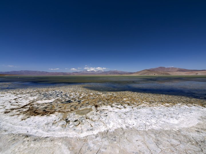 Proyecto científico estudiará los salares en el norte de Chile