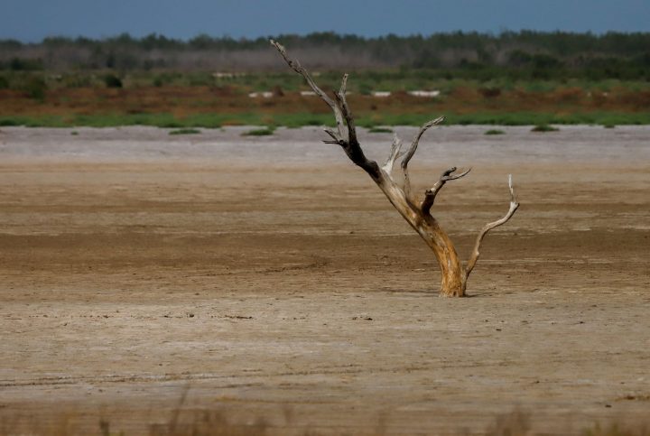 Extienden emergencia agrícola por déficit hídrico y sequía