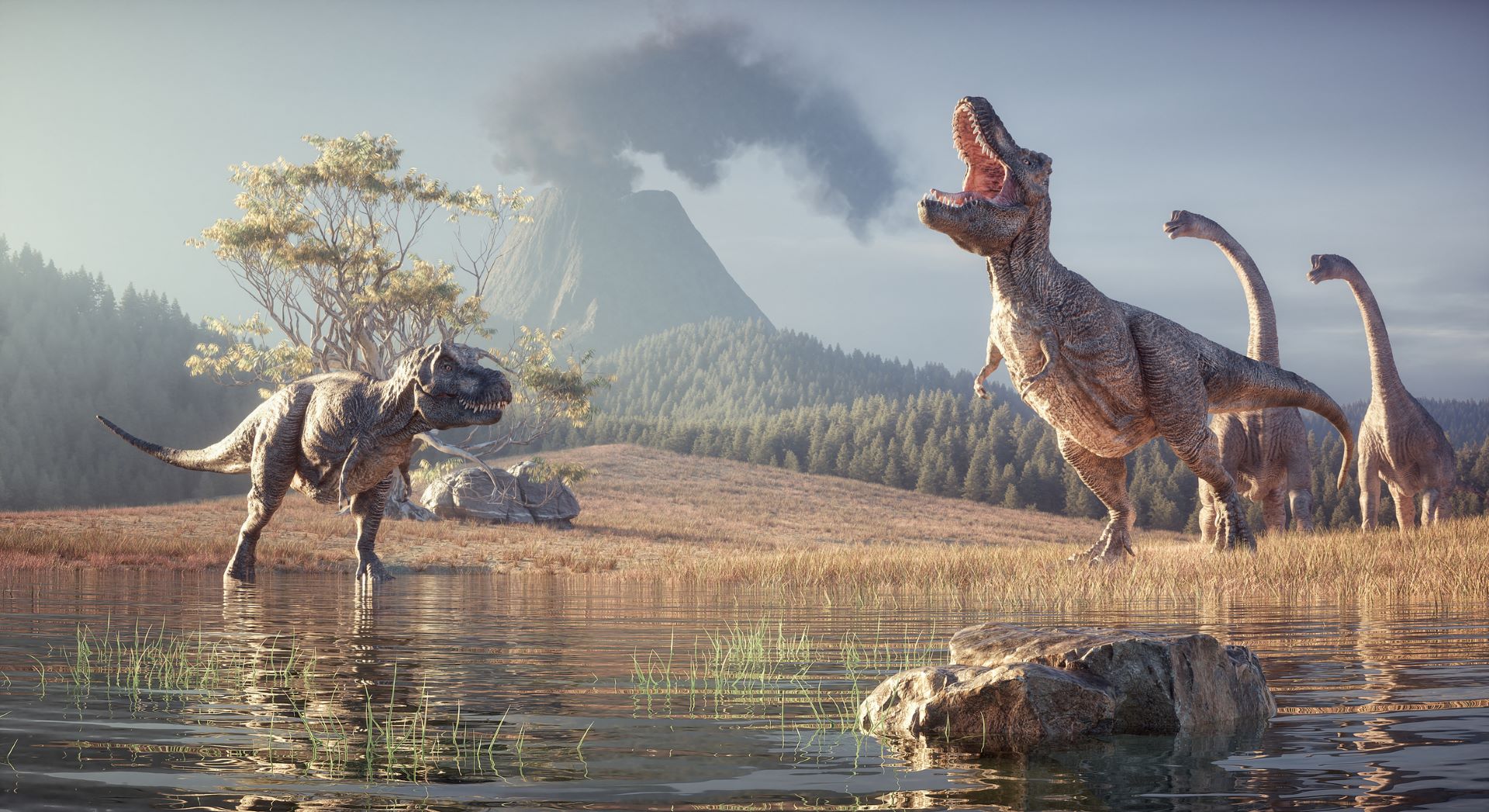 Los dinosaurios no eran tan listos como se creía