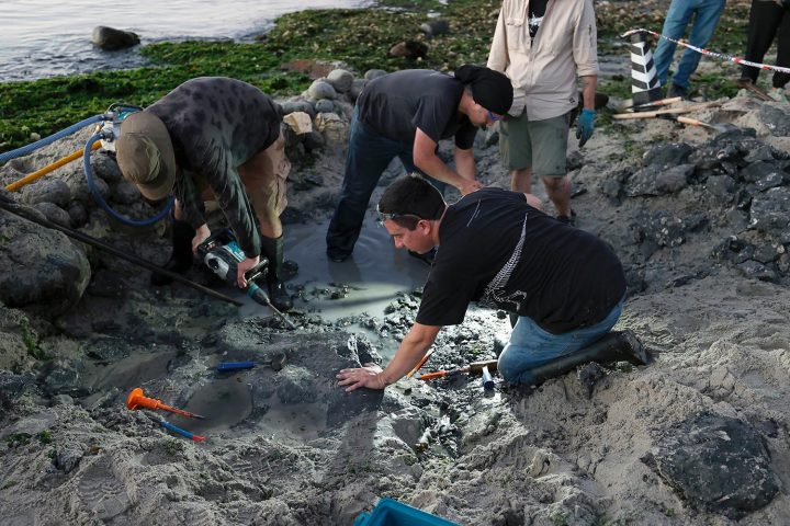 Elasmosaurio hallado en Algarrobo podría tratarse de una “primicia”