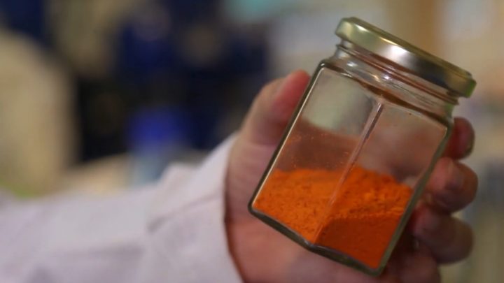 Alternativas biotecnológicas para la producción sustentable de carotenoides