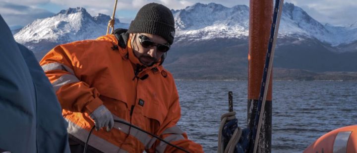 Implementan red de monitoreo acústico de mamíferos marinos en Magallanes
