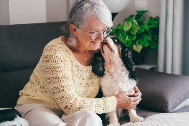 Mascotas y personas mayores: Una combinación beneficiosa