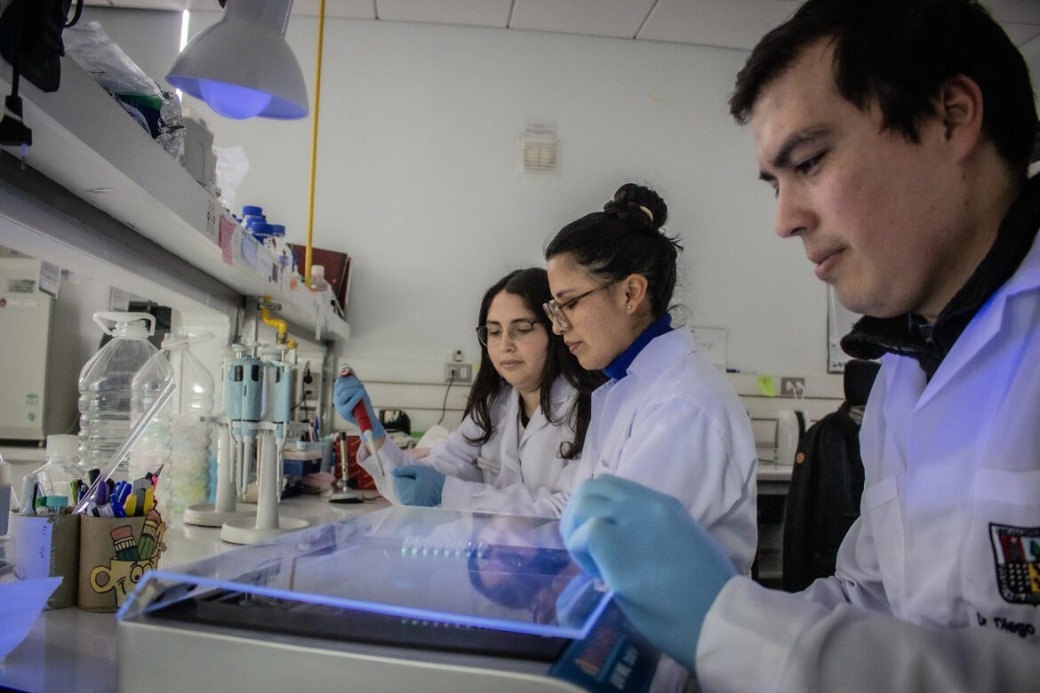 Tecnología creada en Chile permite detectar más rápido el virus papiloma humano