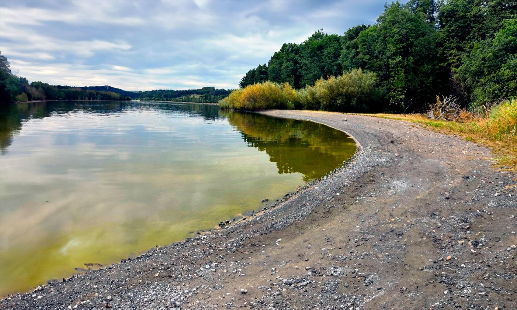 Estudio revela altos niveles de contaminación fecal en Lago Llanquihue
