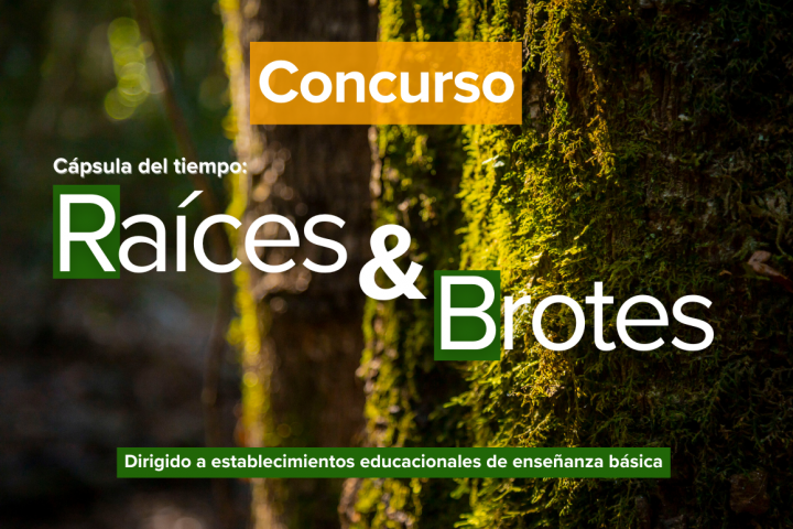 Concurso escolar en Biobío: Mensajes ambientales viajarán 15 años en cápsula del tiempo